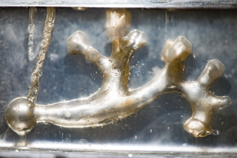 A silicon cast of a kidney. (Image: G.L. Kohuth, Michigan State University)